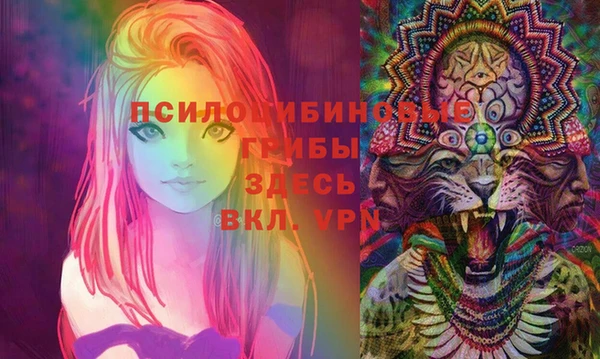 spice Няндома