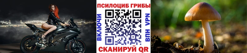 Галлюциногенные грибы Magic Shrooms Руза